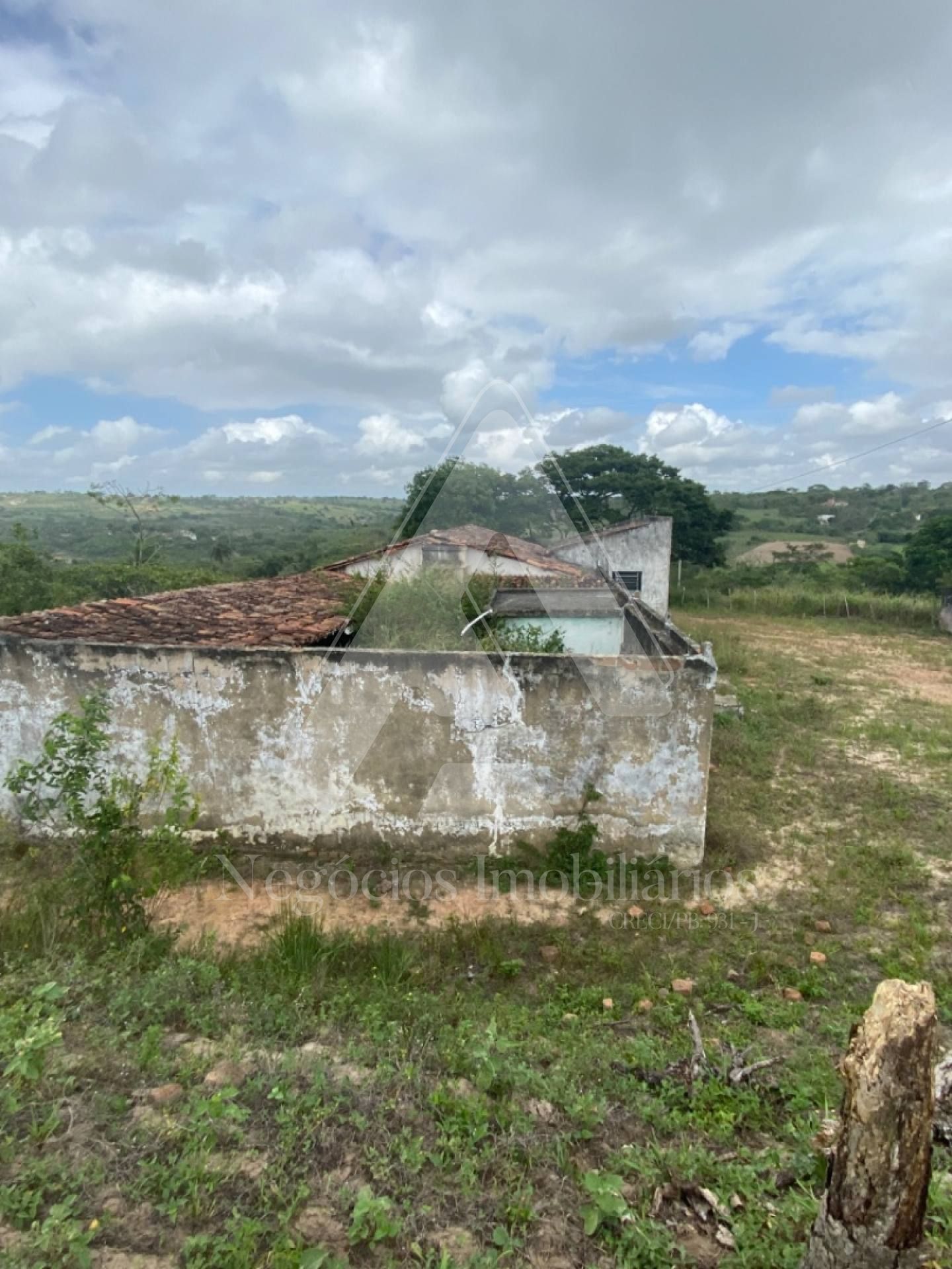 Fazenda à venda com 3 quartos, 53674m² - Foto 4