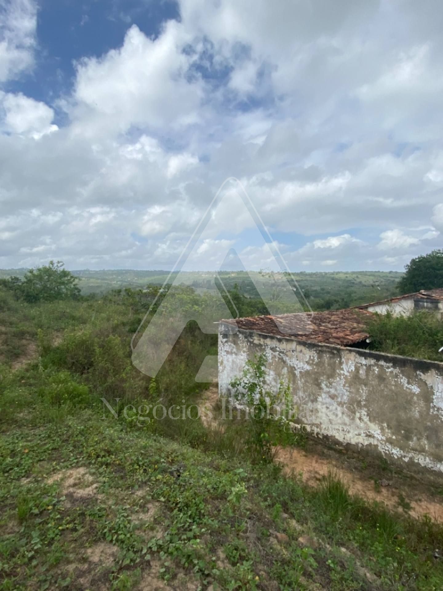 Fazenda à venda com 3 quartos, 53674m² - Foto 5