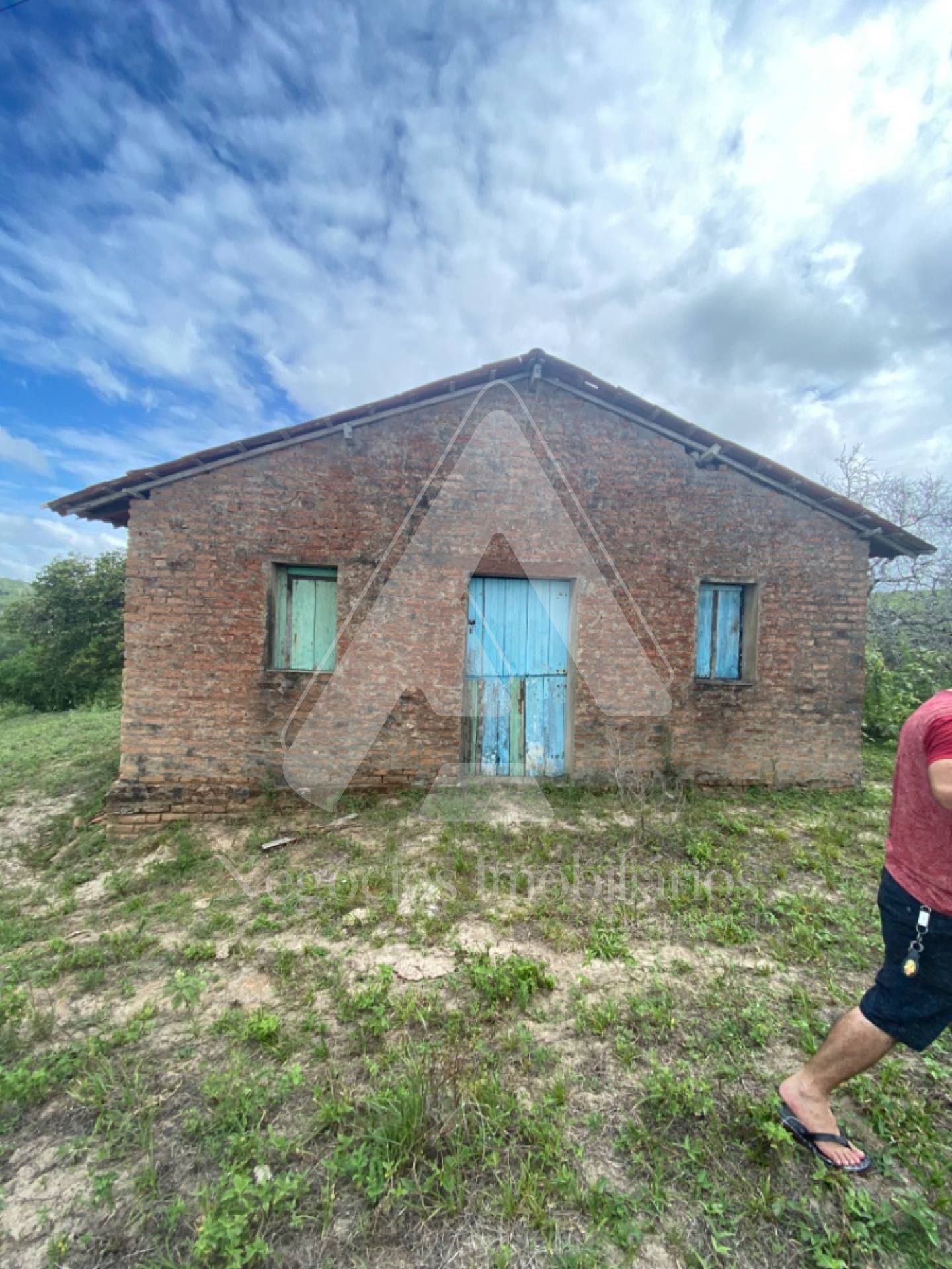 Fazenda à venda com 3 quartos, 53674m² - Foto 6