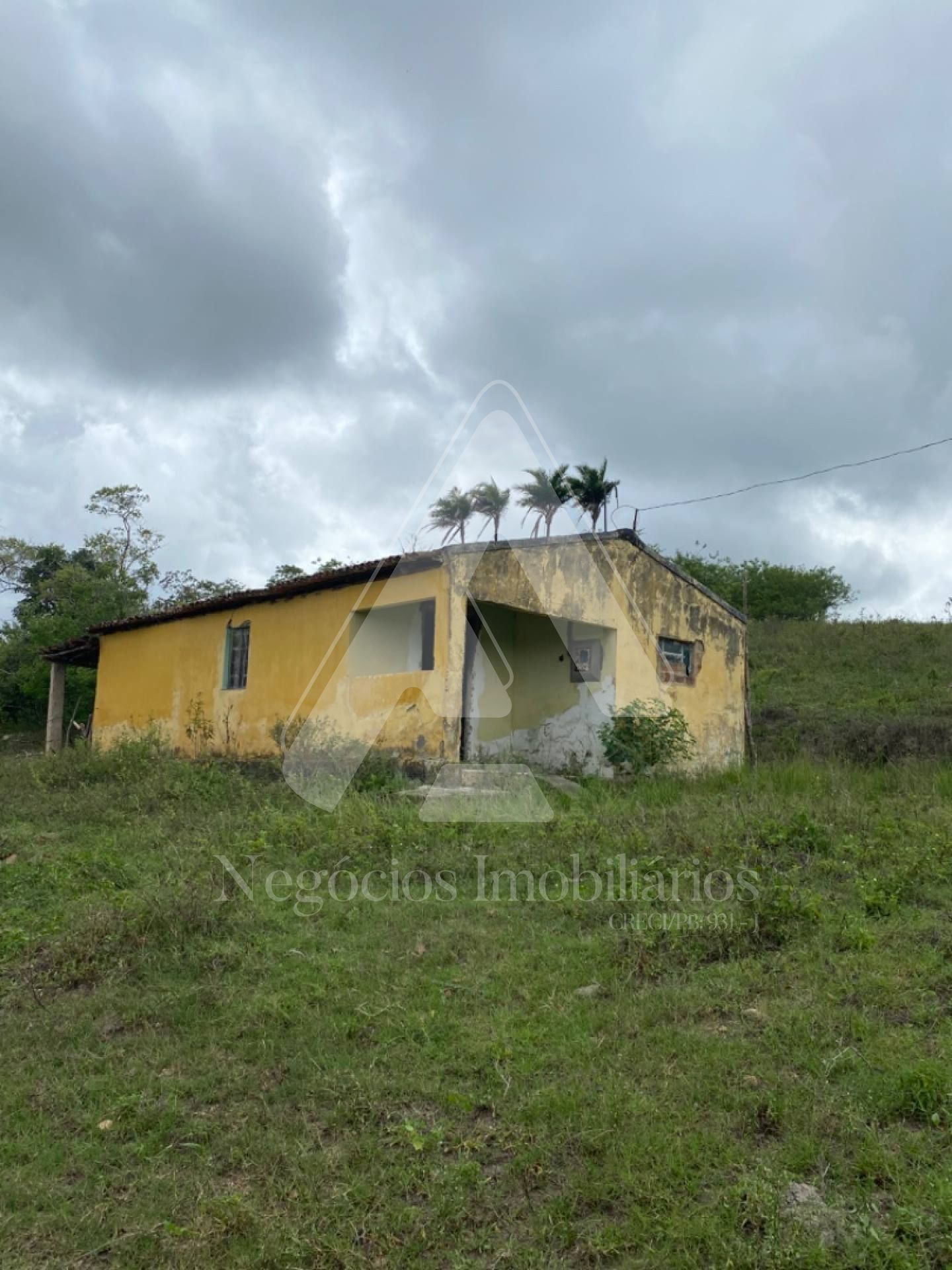 Fazenda à venda com 3 quartos, 53674m² - Foto 9