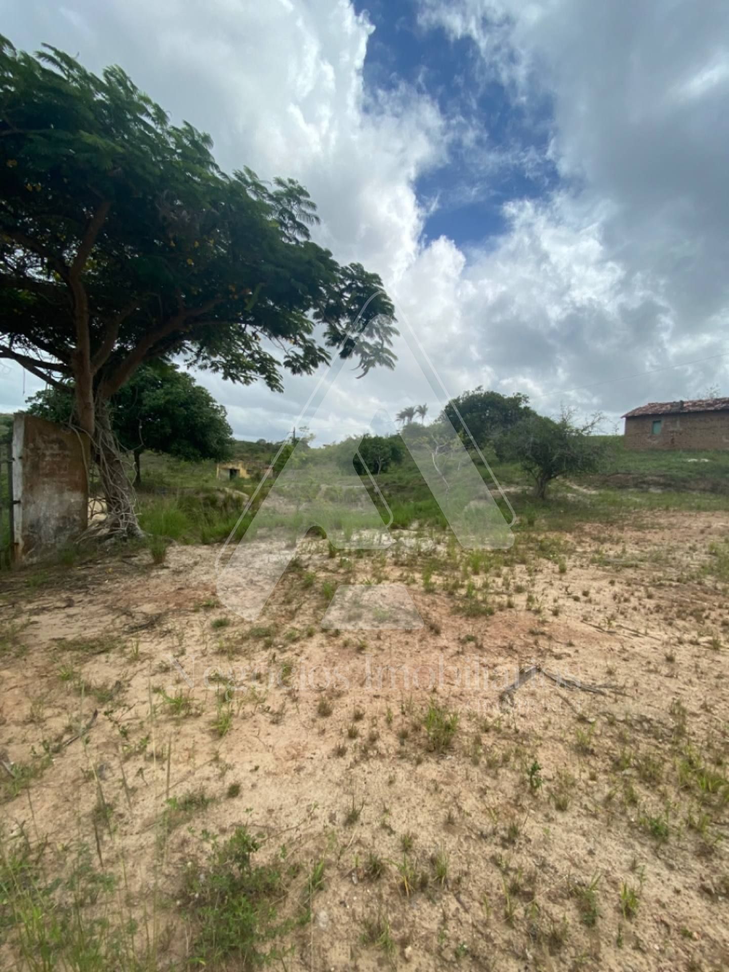 Fazenda à venda com 3 quartos, 53674m² - Foto 13