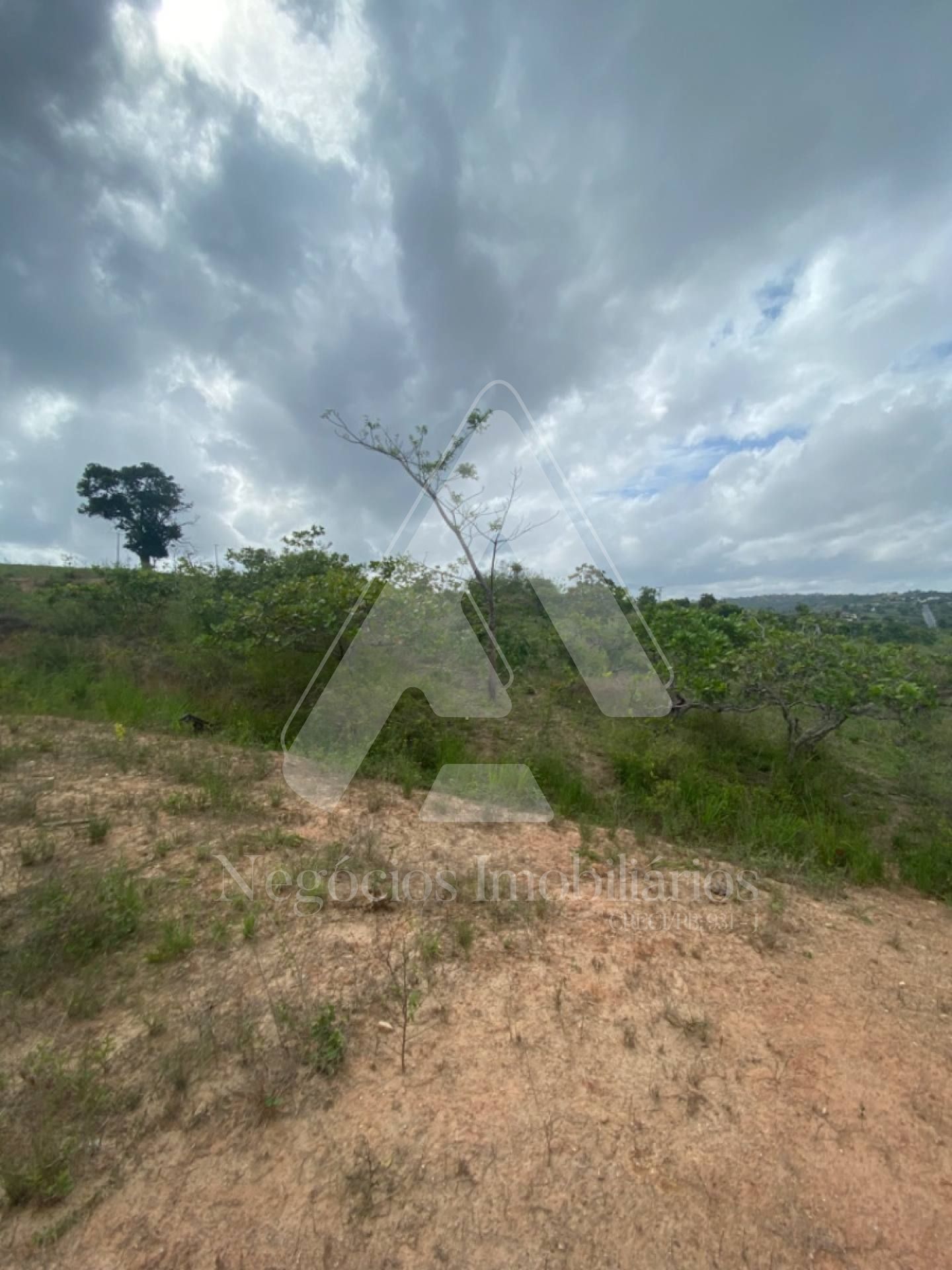 Fazenda à venda com 3 quartos, 53674m² - Foto 14