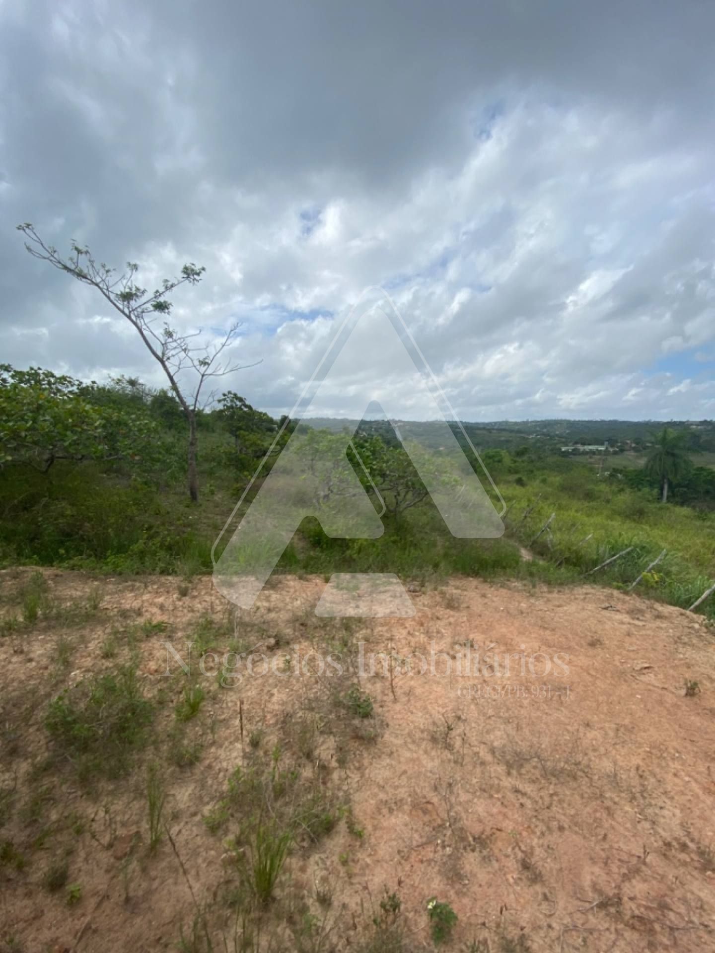 Fazenda à venda com 3 quartos, 53674m² - Foto 16