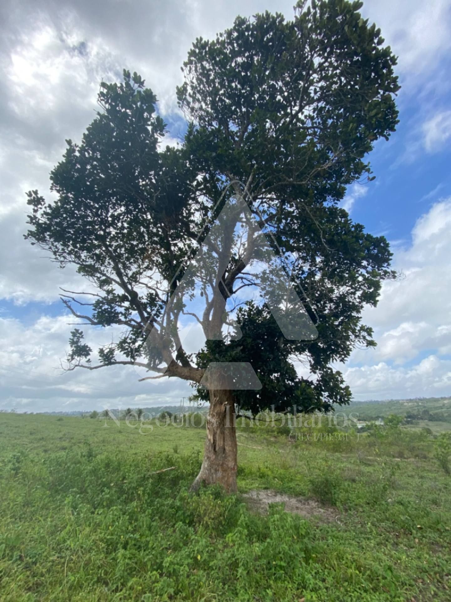 Fazenda à venda com 3 quartos, 53674m² - Foto 17