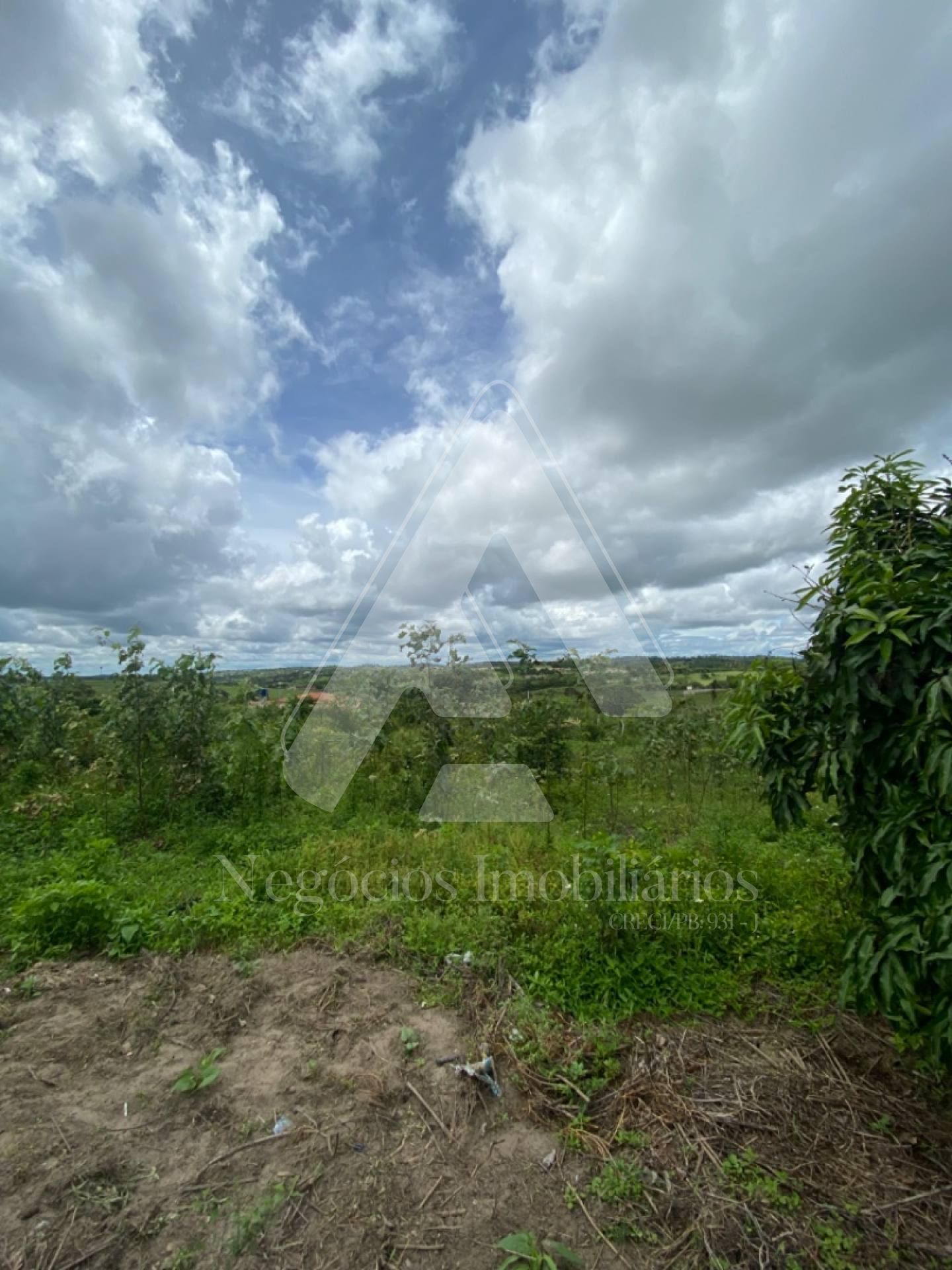 Fazenda à venda com 4 quartos, 35000m² - Foto 5