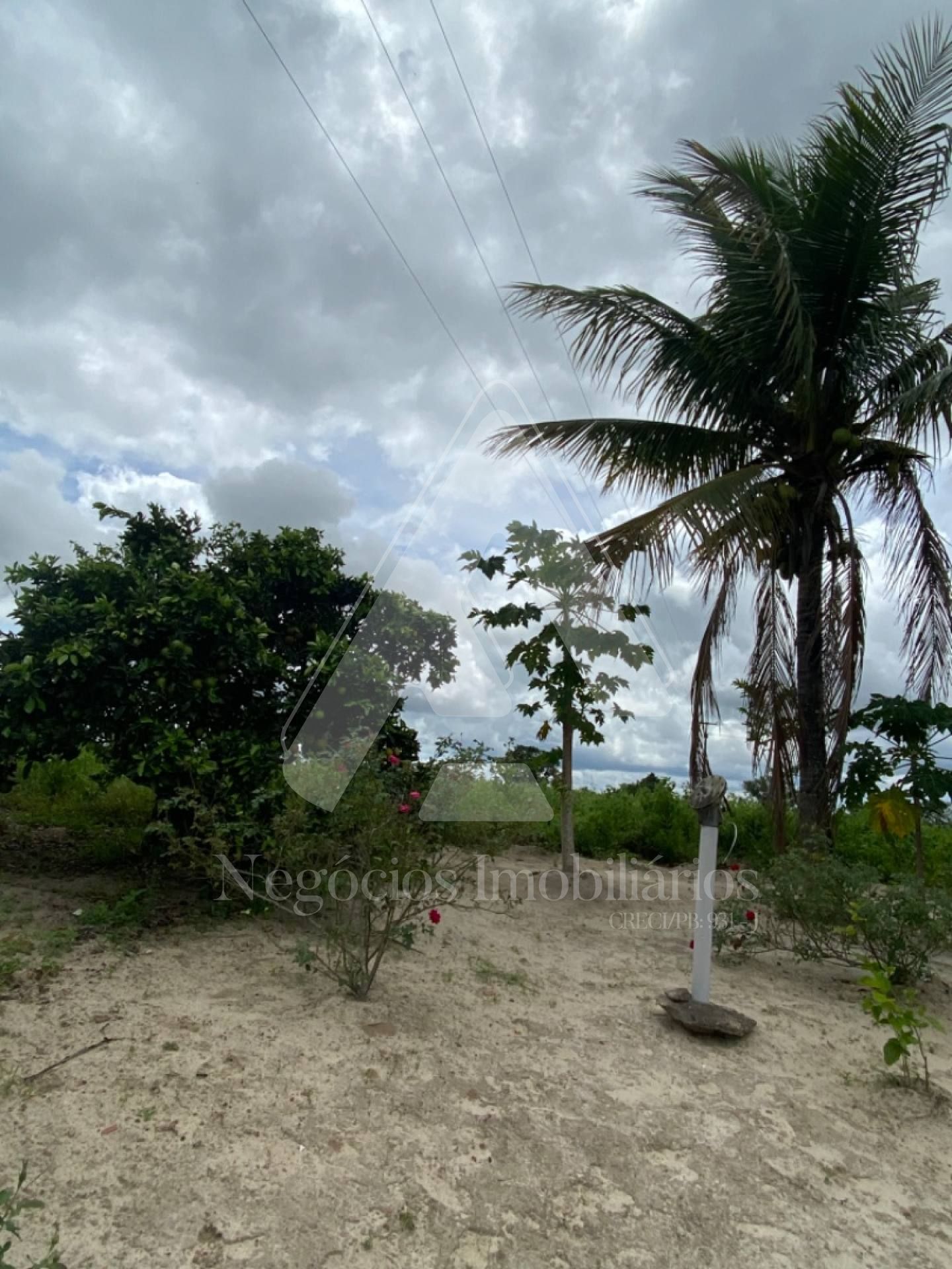 Fazenda à venda com 4 quartos, 35000m² - Foto 6