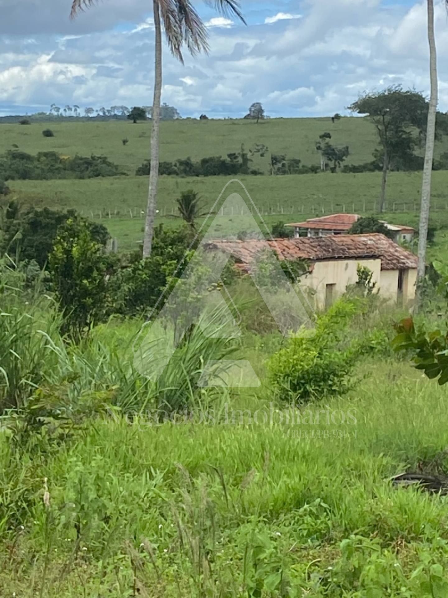 Fazenda à venda com 4 quartos, 35000m² - Foto 9