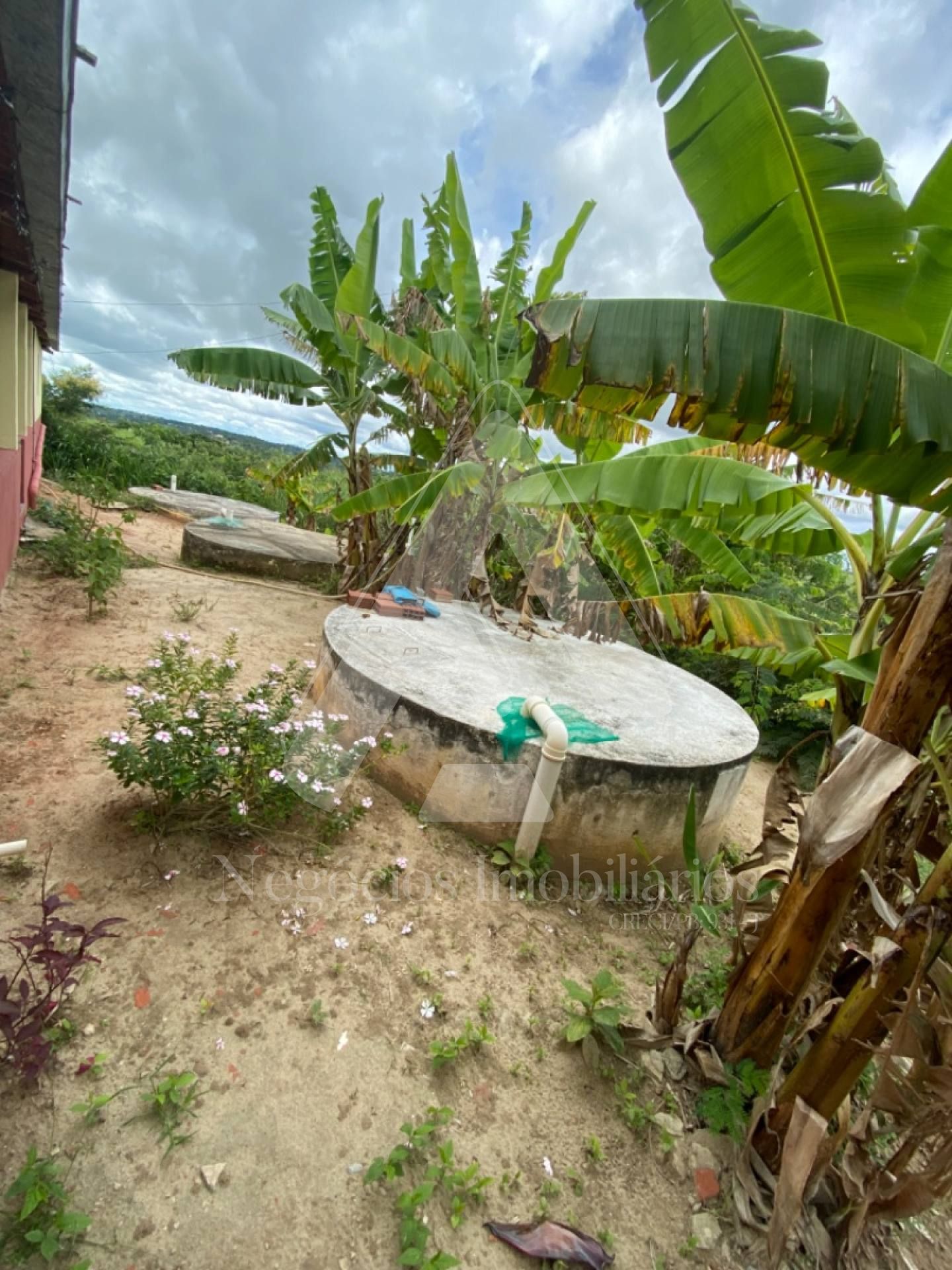 Fazenda à venda com 4 quartos, 35000m² - Foto 13