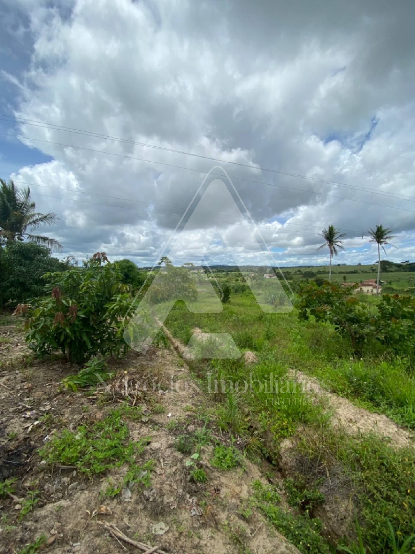 Fazenda à venda com 4 quartos, 35000m² - Foto 10