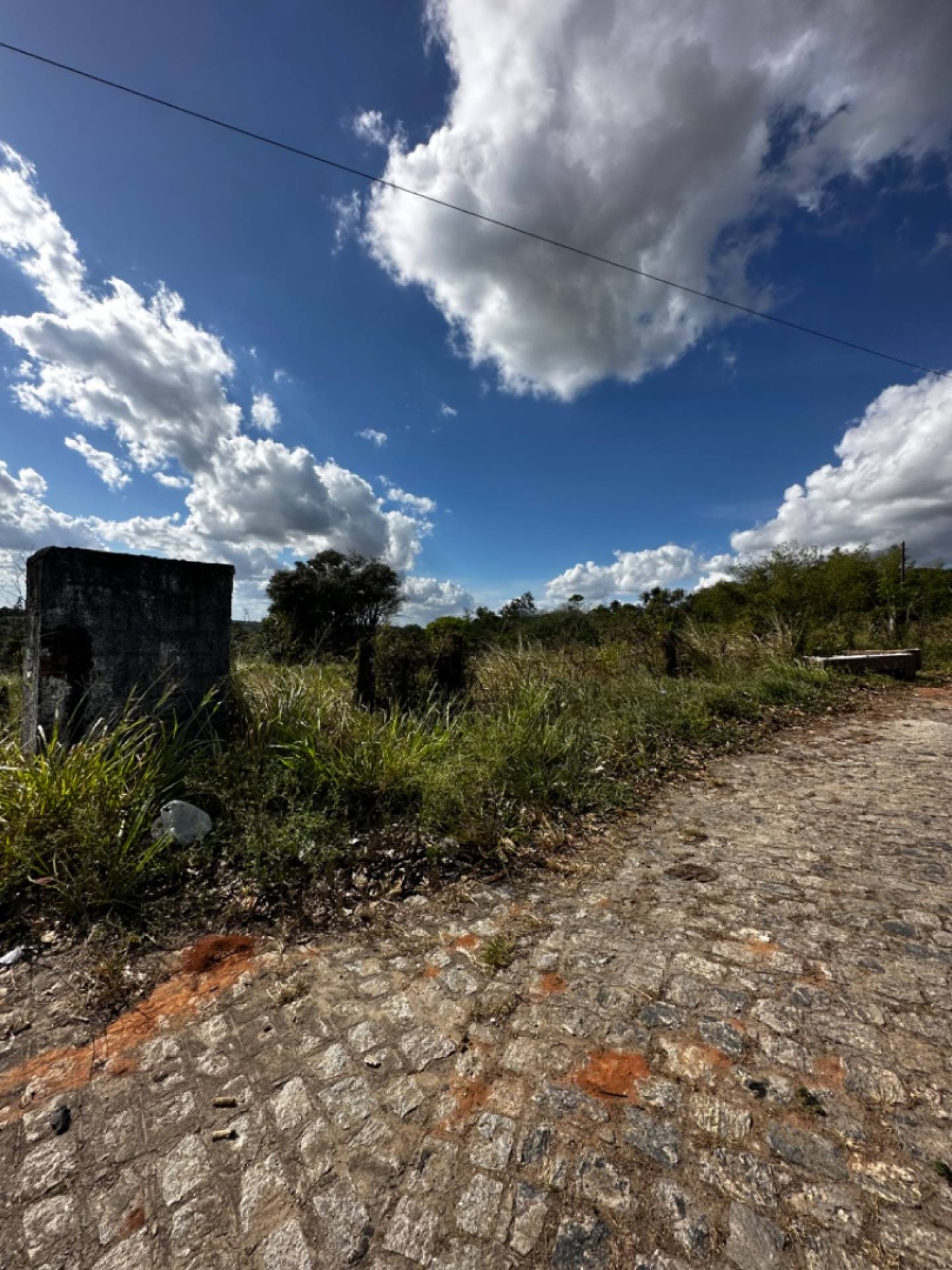 Terreno à venda, 9845m² - Foto 5